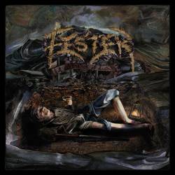 Fester (NOR) : A Celebration of Death